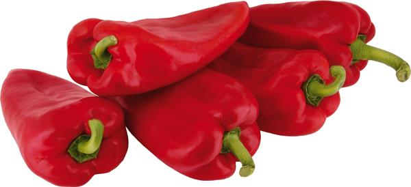 Paprika šilja crvena kg