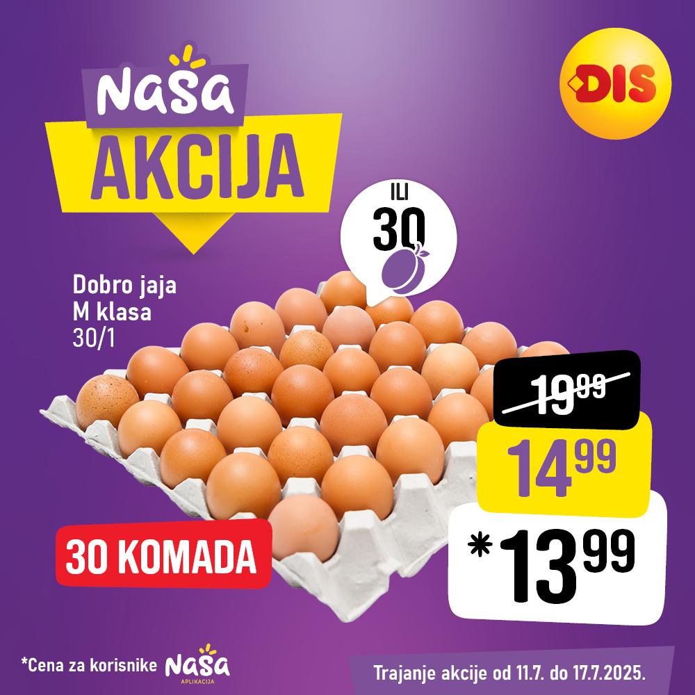 Naša akcija u DIS-u